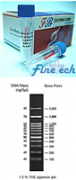 0.1-3Kb DNA Ladder